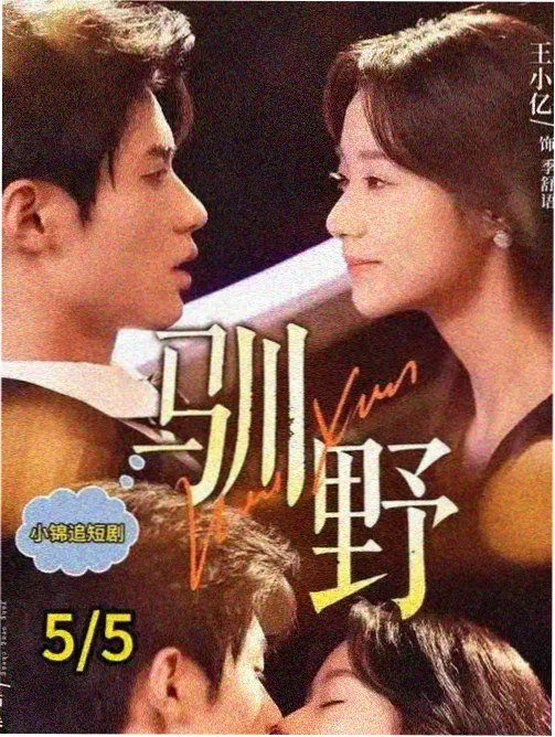 体质与选座问题合集封面缩略图